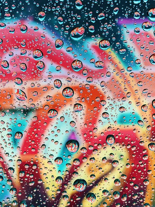 A világ legjobb iPhone fotói 2019
