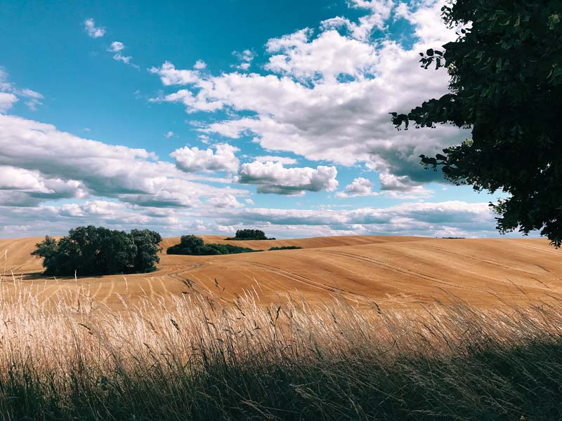 A világ legjobb iPhone fotói 2019